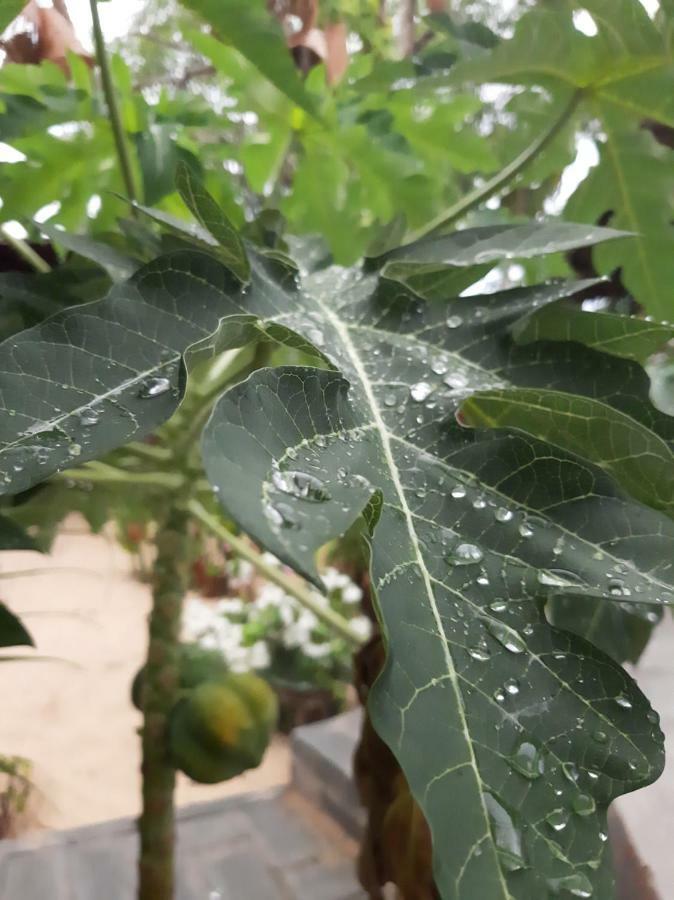 Appartamento Connect Phan Thiết Esterno foto