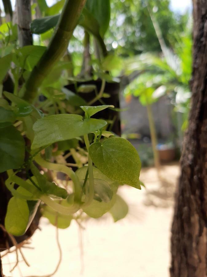 Appartamento Connect Phan Thiết Esterno foto