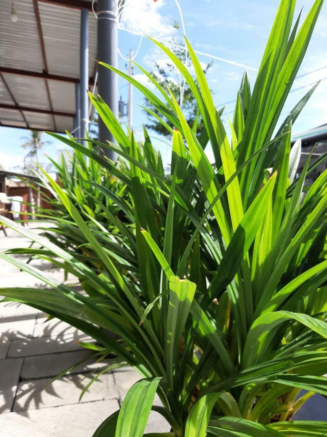 Appartamento Connect Phan Thiết Esterno foto